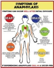  Allergy Emergency - Anaphylaxis Symptoms Poster
